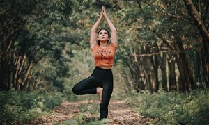 Wellness Domains