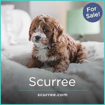 Scurree.com image 2