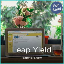LeapYield.com - buy Good premium names
