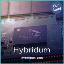 Hybridum.com - New premium domain names