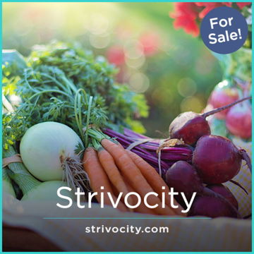 Strivocity.com