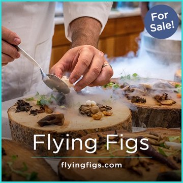 FlyingFigs.com