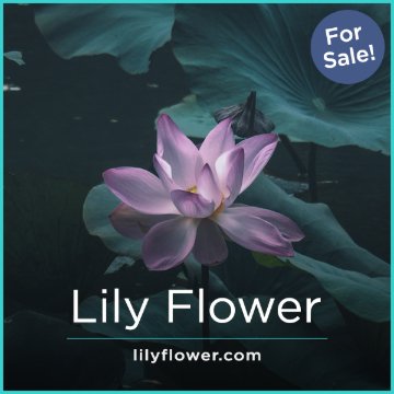 LilyFlower.com