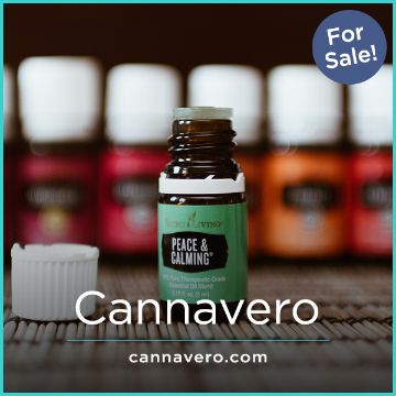 Cannavero.com image 2