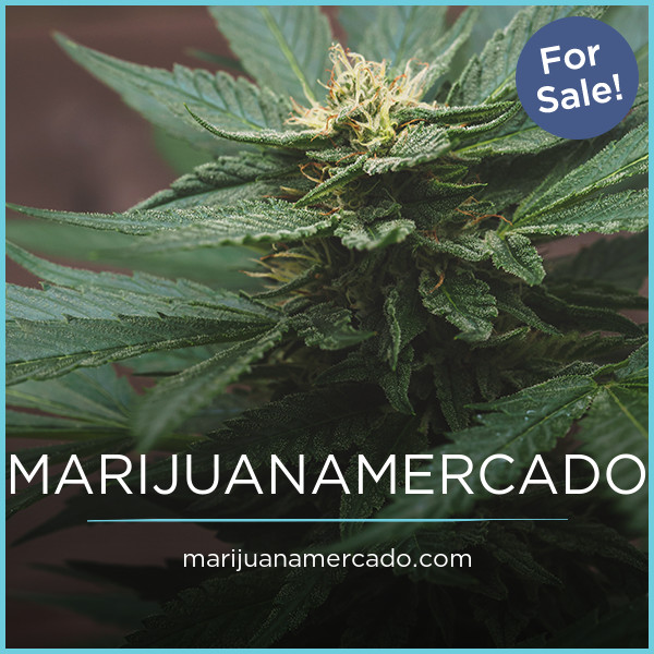 MarijuanaMercado logo