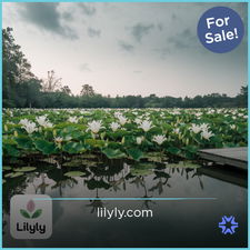 Lilyly.com - Good premium domain names for sale