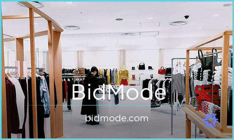 BidMode.com - buying Unique premium names