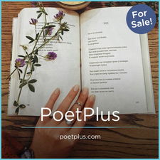 PoetPlus.com - buy Good premium domains