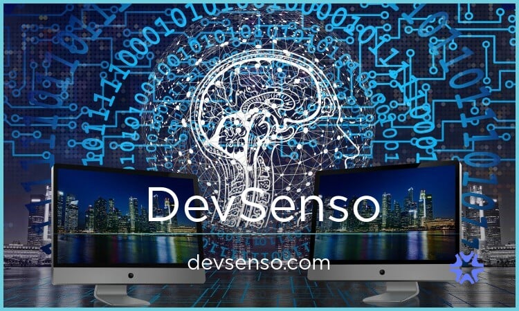 DevSenso.com image 2