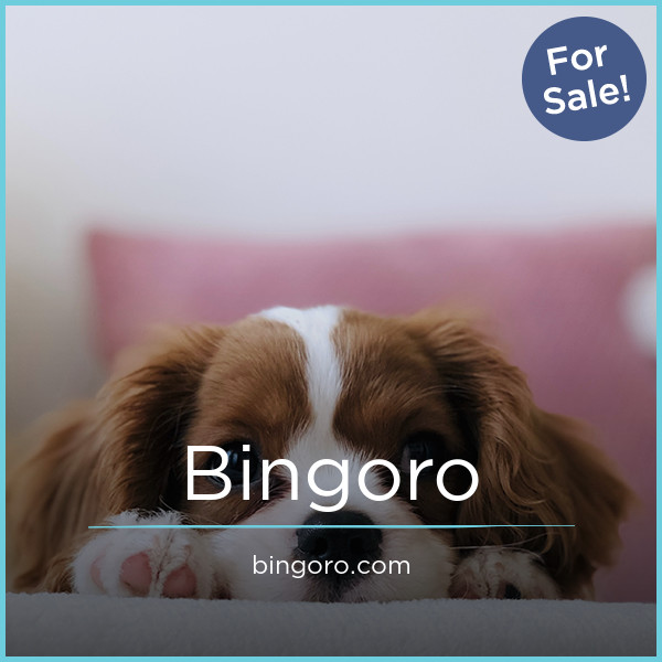 Bingoro.com - buy Creative premium domains