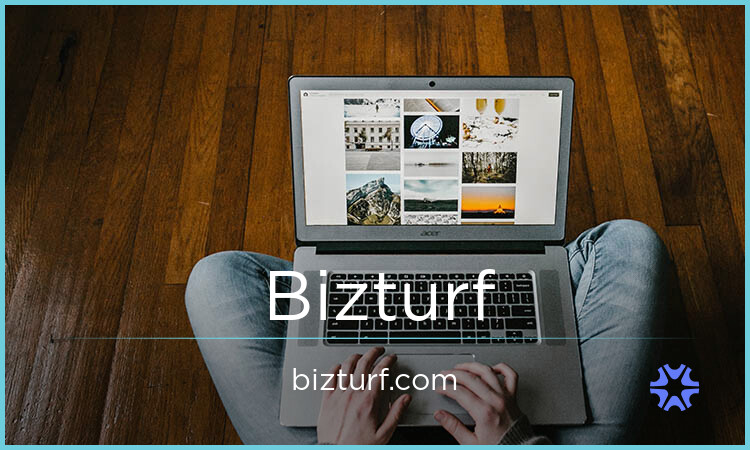 Bizturf.com image 2