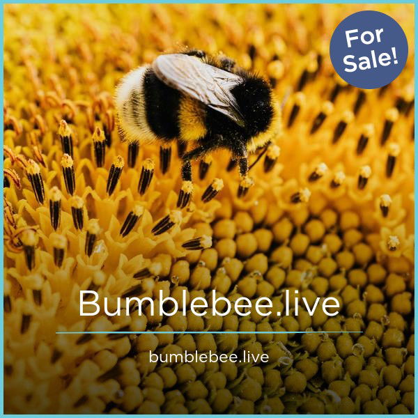 Bumblebee.live