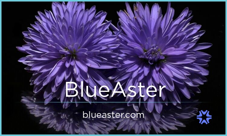 BlueAster.com - Good premium domains