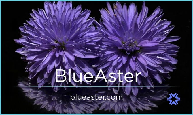 BlueAster.com