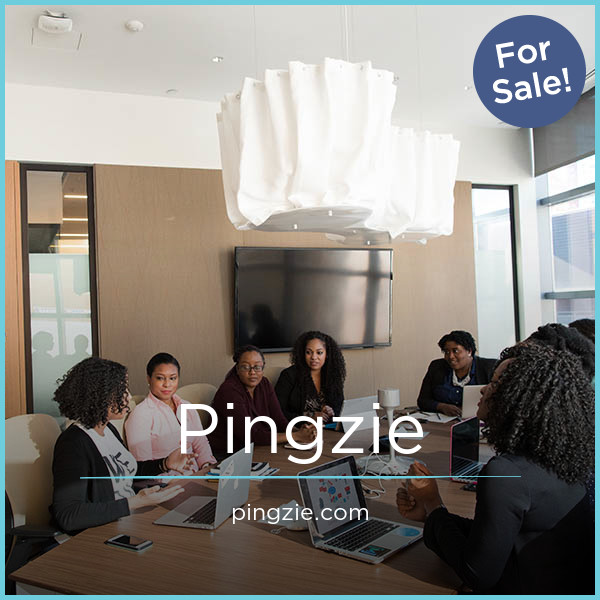 Pingzie.com - New premium domain marketplace