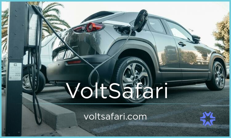 VoltSafari.com - Cool premium domain names