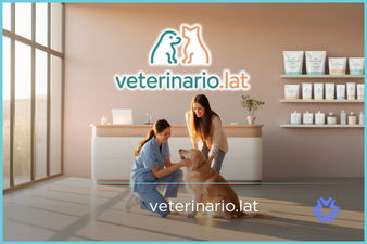 Veterinario.lat - Creative brandable domain for sale