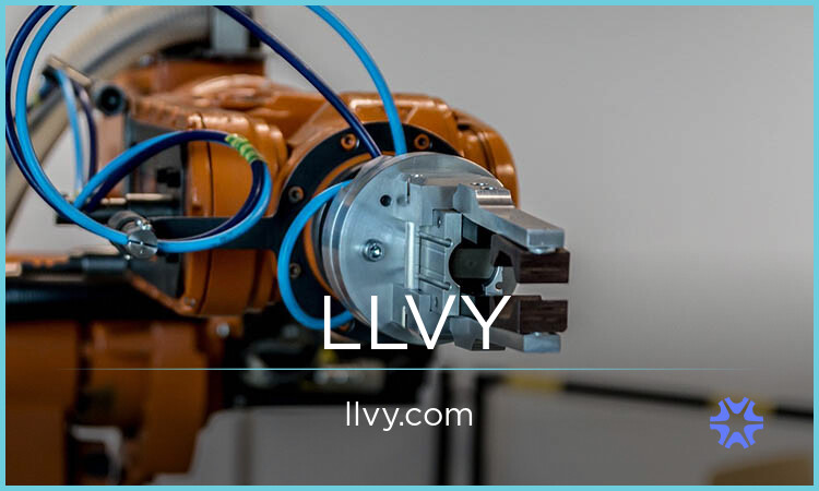 LLVY.com - buying Great premium names