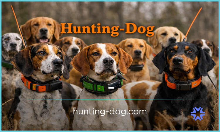 Hunting-Dog.com image 2