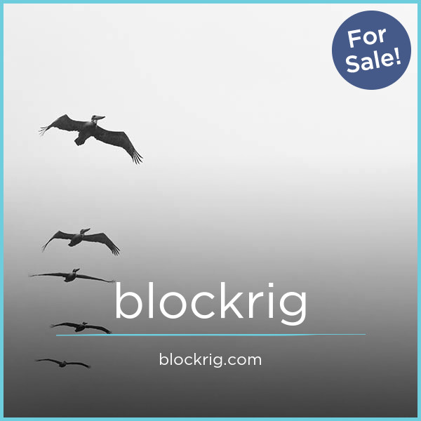 BlockRig.com - Cool premium domains
