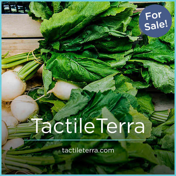 TactileTerra.com - Best premium domain names for sale