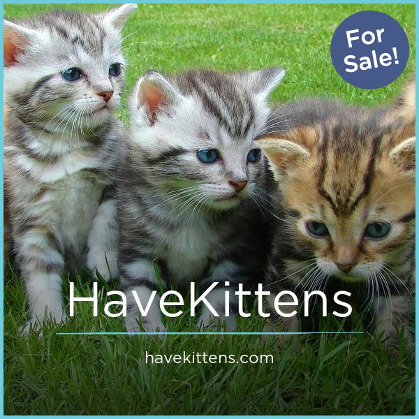 HaveKittens.com