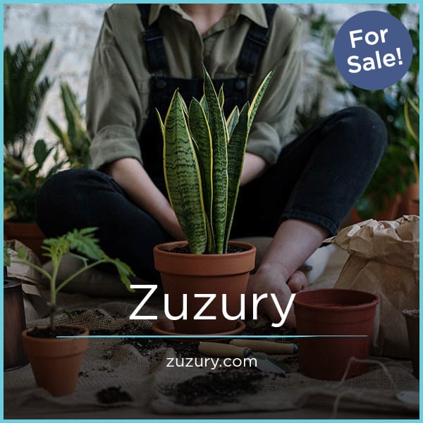 Zuzury.com image 2