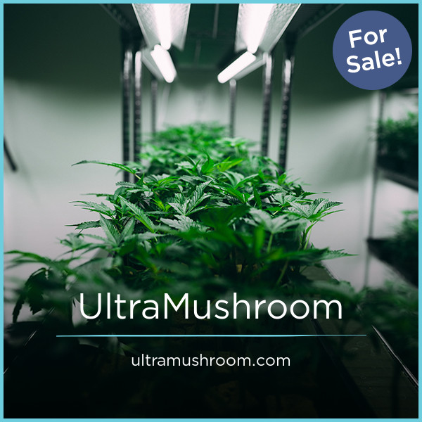 UltraMushroom.com - buying Cool premium names