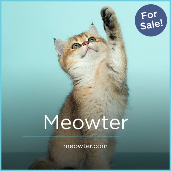 Meowter.com image 2