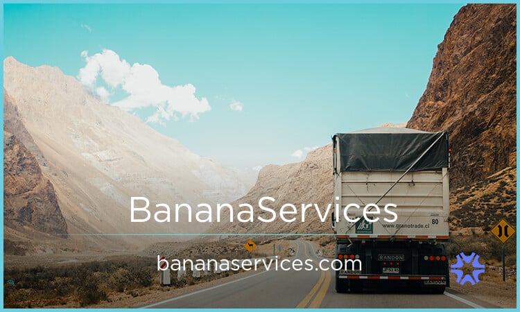 BananaServices.com image 2