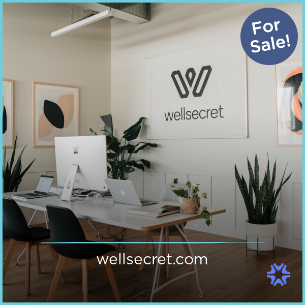 WellSecret.com - Creative premium domain names for sale