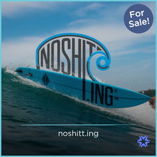 NoShitt.ing - Creative brandable domain for sale