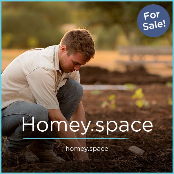 Homey.space