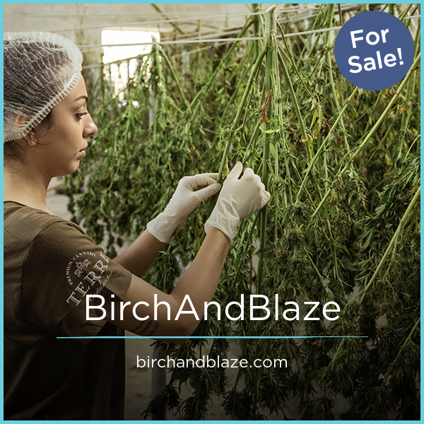 BirchAndBlaze.com - buy Great premium domains
