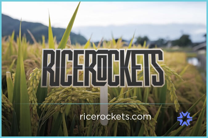 ricerockets.com — 2