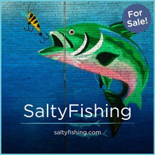 SaltyFishing.com - Best premium domains for sale