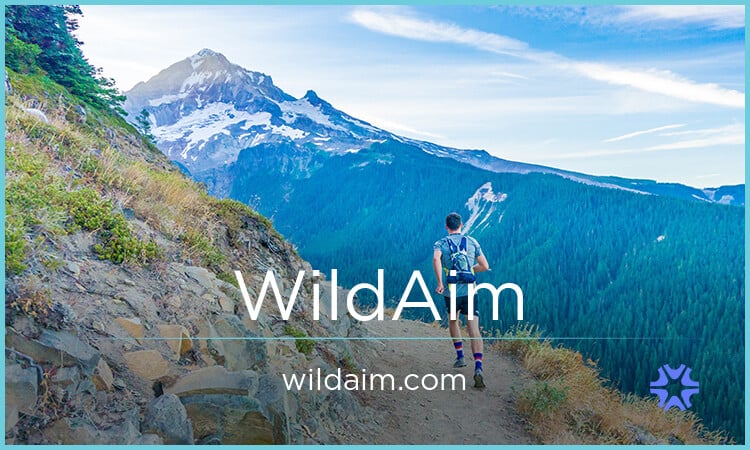 WildAim.com - New premium domain marketplace