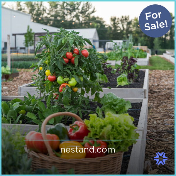 Nestand.com