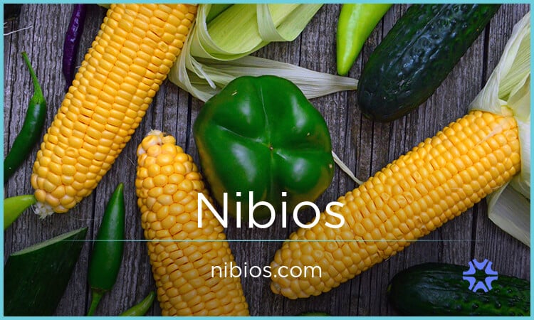 Nibios.com image 2