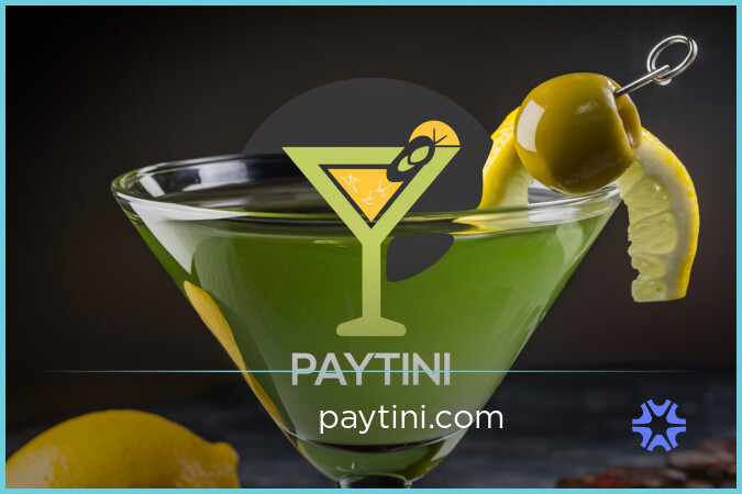 Paytini.com image 2