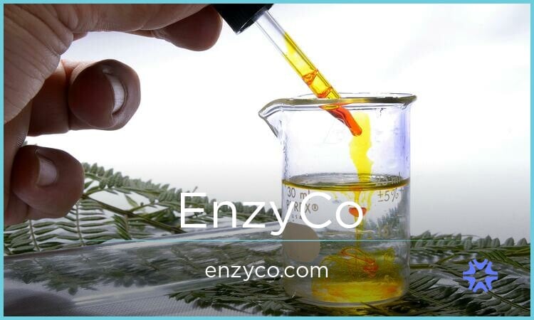 EnzyCo.com — 2