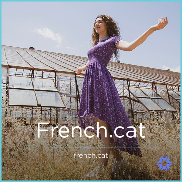 French.cat image 2