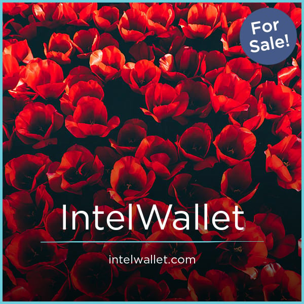 IntelWallet.com - Cool premium domain names for sale