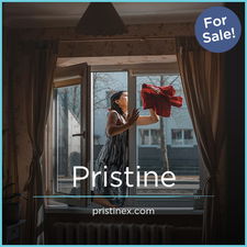 PristineX.com - New premium domain names for sale
