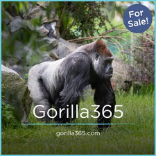 Gorilla365.com - Creative brandable domain for sale