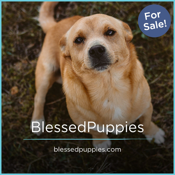 BlessedPuppies.com - buying Catchy premium names