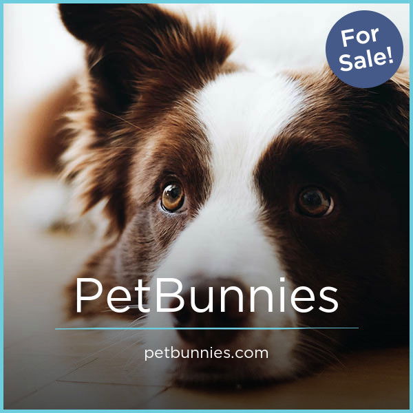 PetBunnies.com