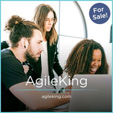 AgileKing.com - Creative premium domain marketplace