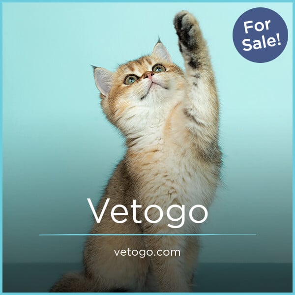 Vetogo.com image 2