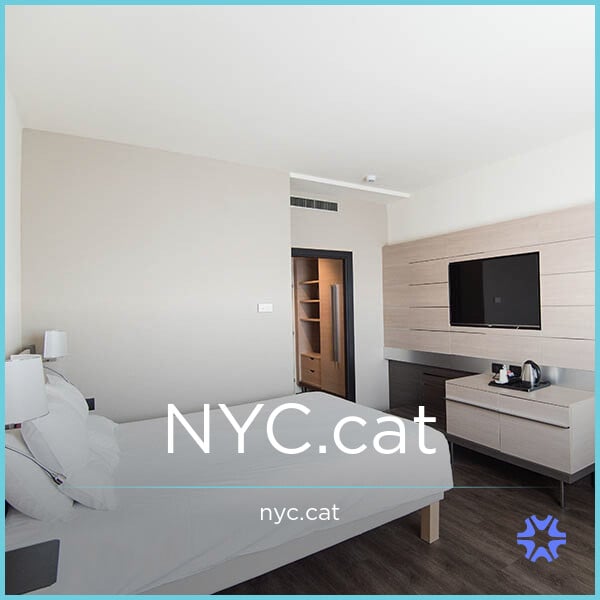 NYC.cat image 2